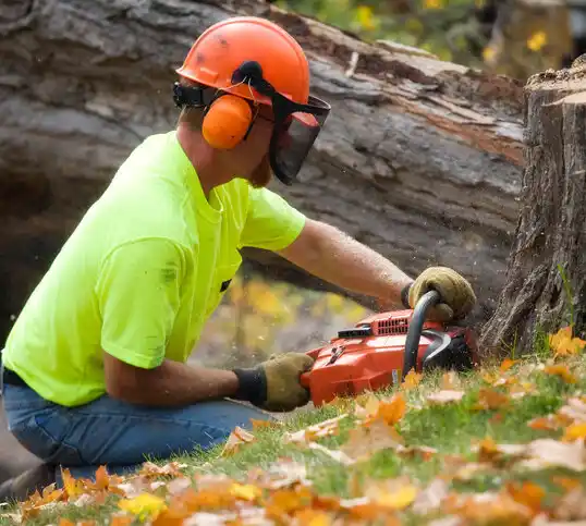 tree services De Kalb